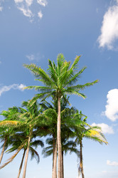 Similar image 477861