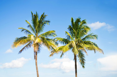 Similar image 477862