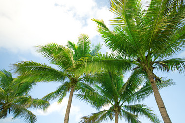 Similar image 477863