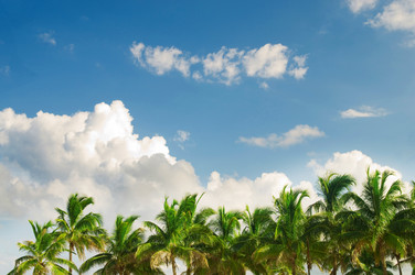 Similar image 477865