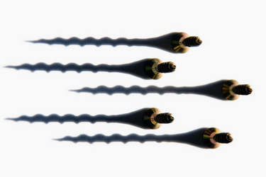 Similar image 477900