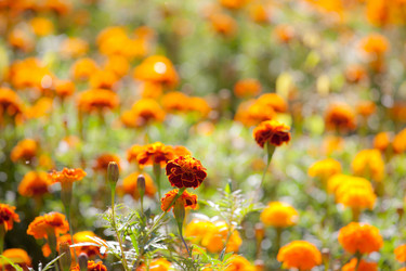 Similar image 477902