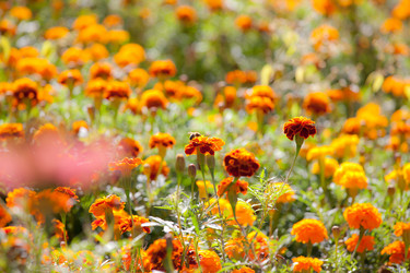 Similar image 477903