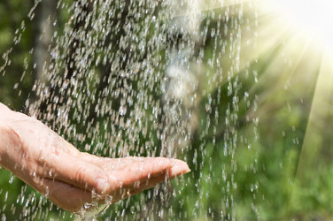 Similar image 477909