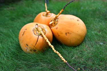 Similar image 477959