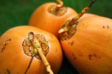 Similar image 477963