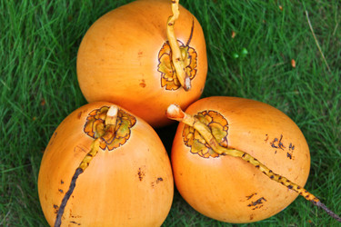 Similar image 477971