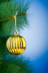 Similar image 477977