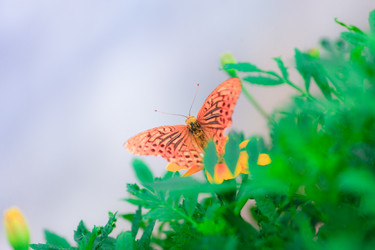 Similar image 477978