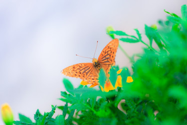 Similar image 478000