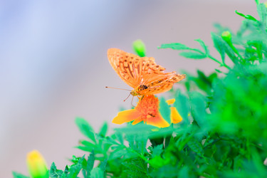 Similar image 478026