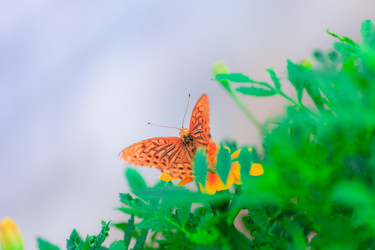 Similar image 478038