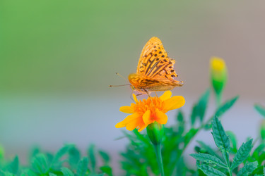 Similar image 478055