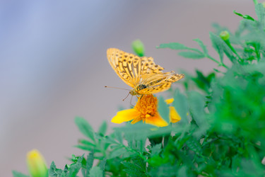 Similar image 478075