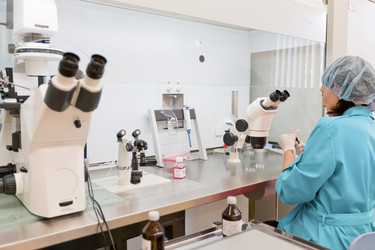 Similar image 478111