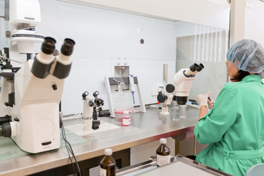 Similar image 478116