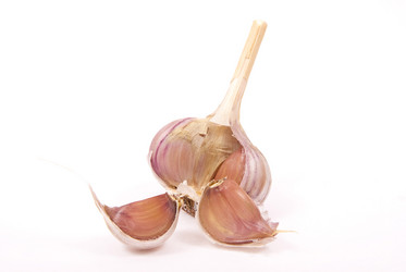 Similar image 478136