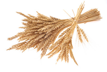 Similar image 478166