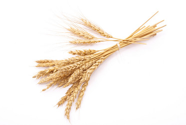 Similar image 478172