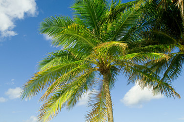 Similar image 478200