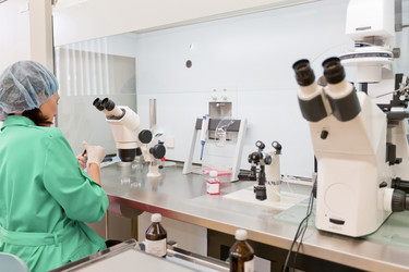 Similar image 478274