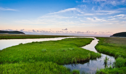 Similar image 478293