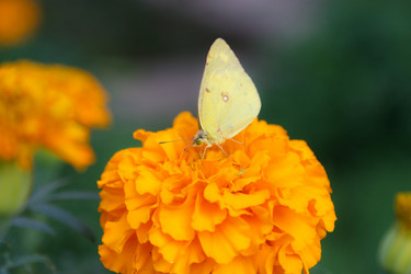 Similar image 478294