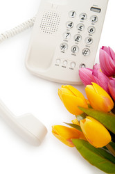 Similar image 478311