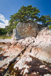 Similar image 478358