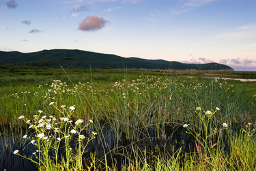 Similar image 478379