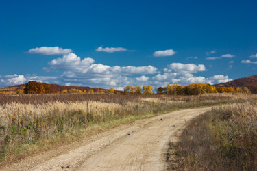 Similar image 478397