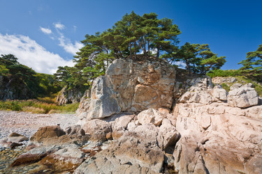 Similar image 478399