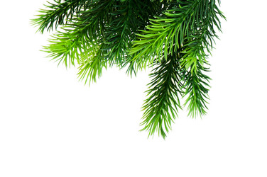 Similar image 478472