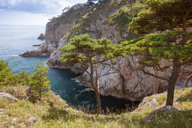 Similar image 478476