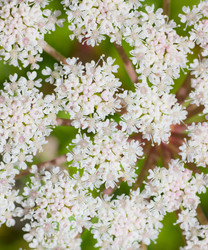 Similar image 478491