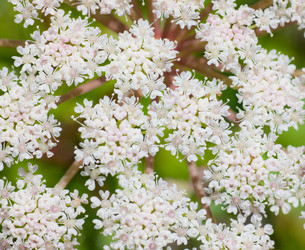 Similar image 478492