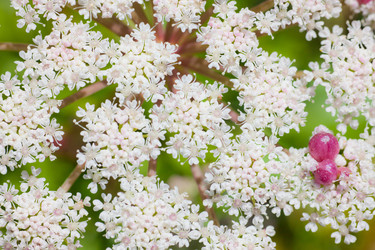 Similar image 478503