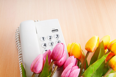 Similar image 478506