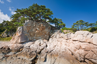 Similar image 478521