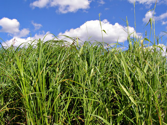 Similar image 478539