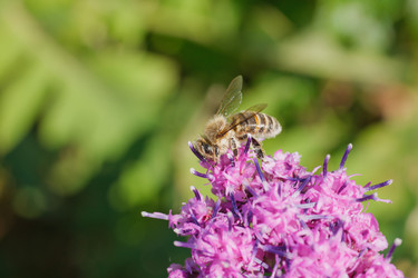 Similar image 478545