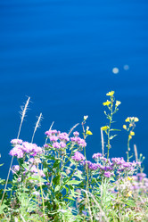 Similar image 478568