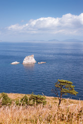 Similar image 478569