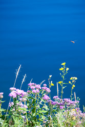 Similar image 478571