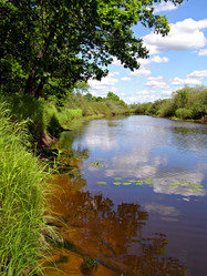 Similar image 478573