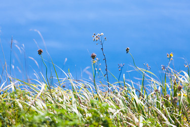 Similar image 478586