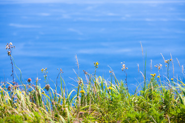 Similar image 478591