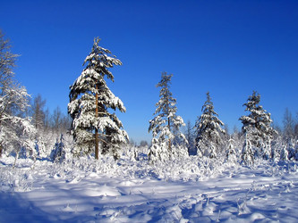 Similar image 478594