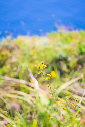 Similar image 478607