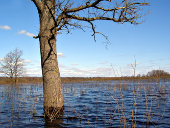 Similar image 478613